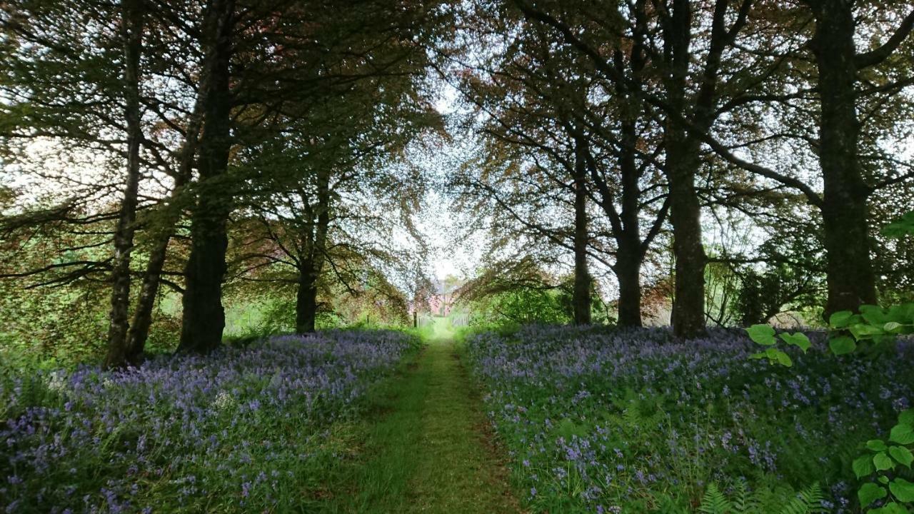 Ballylough House Bushmills Bagian luar foto